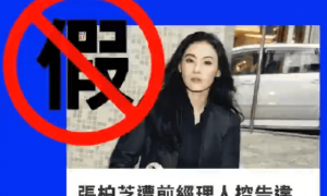 张柏芝出庭情绪崩溃！现身法院门口大吼：全是假的！