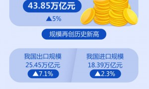 新华全媒+｜突破43万亿元！2024年我国外贸规模再创新高