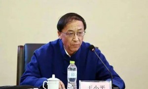 王小平受贿案二审维持原判：有期徒刑十年六个月