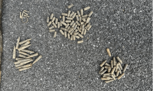 男子河边钓上108发子弹：本以为是钓上了大鱼